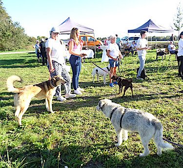 Puchheimer Hundewiese am Laurenzerweg – Gelungene Eröffnung